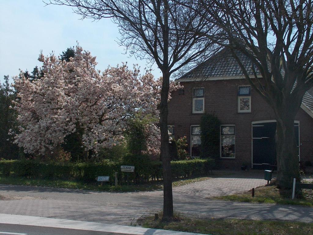 Molenvoort Bed & Breakfast Wachtum Eksteriør bilde