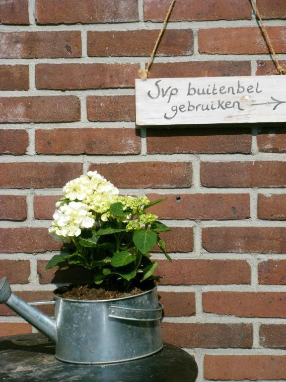 Molenvoort Bed & Breakfast Wachtum Eksteriør bilde