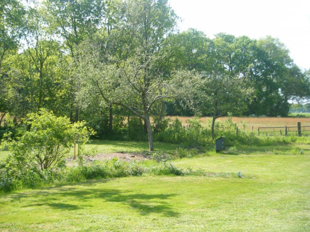 Molenvoort Bed & Breakfast Wachtum Eksteriør bilde