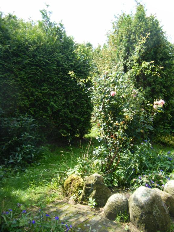 Molenvoort Bed & Breakfast Wachtum Eksteriør bilde