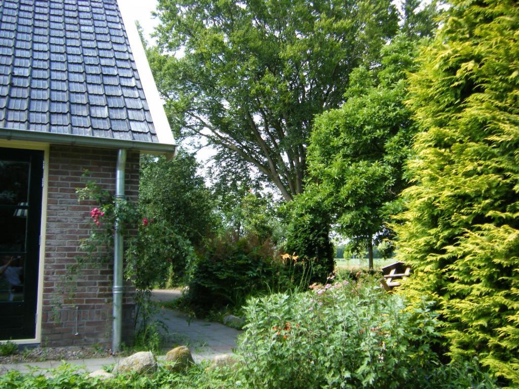 Molenvoort Bed & Breakfast Wachtum Eksteriør bilde